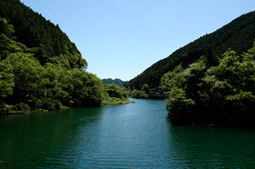 tougou
