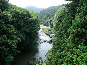 tougou