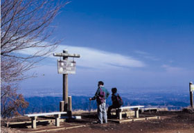 tougou