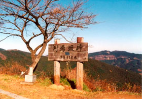 tougou