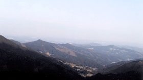 tougou