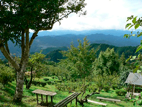 tougou