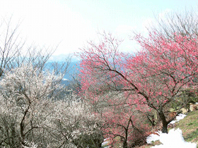 tougou