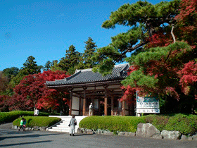 tougou