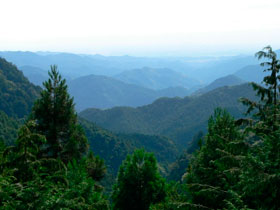 tougou