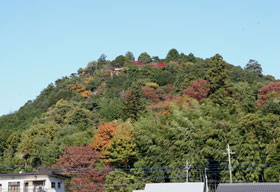 tougou