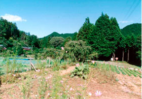 tougou