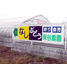 kaiin_photo
